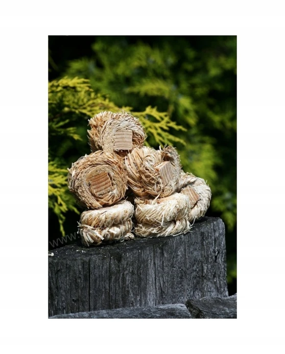 a9774f92710d566285b3be19a9f815dc