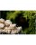 160689fabe782e624a562ed8d58bf356