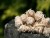 21fe982e3685bfecc453e48a9c40c8ae