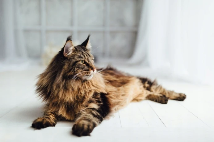 b9bf25a35f4f04b790833242fd67cab4