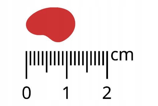 3d1e2f8794277bfbab01b5d01ce93843